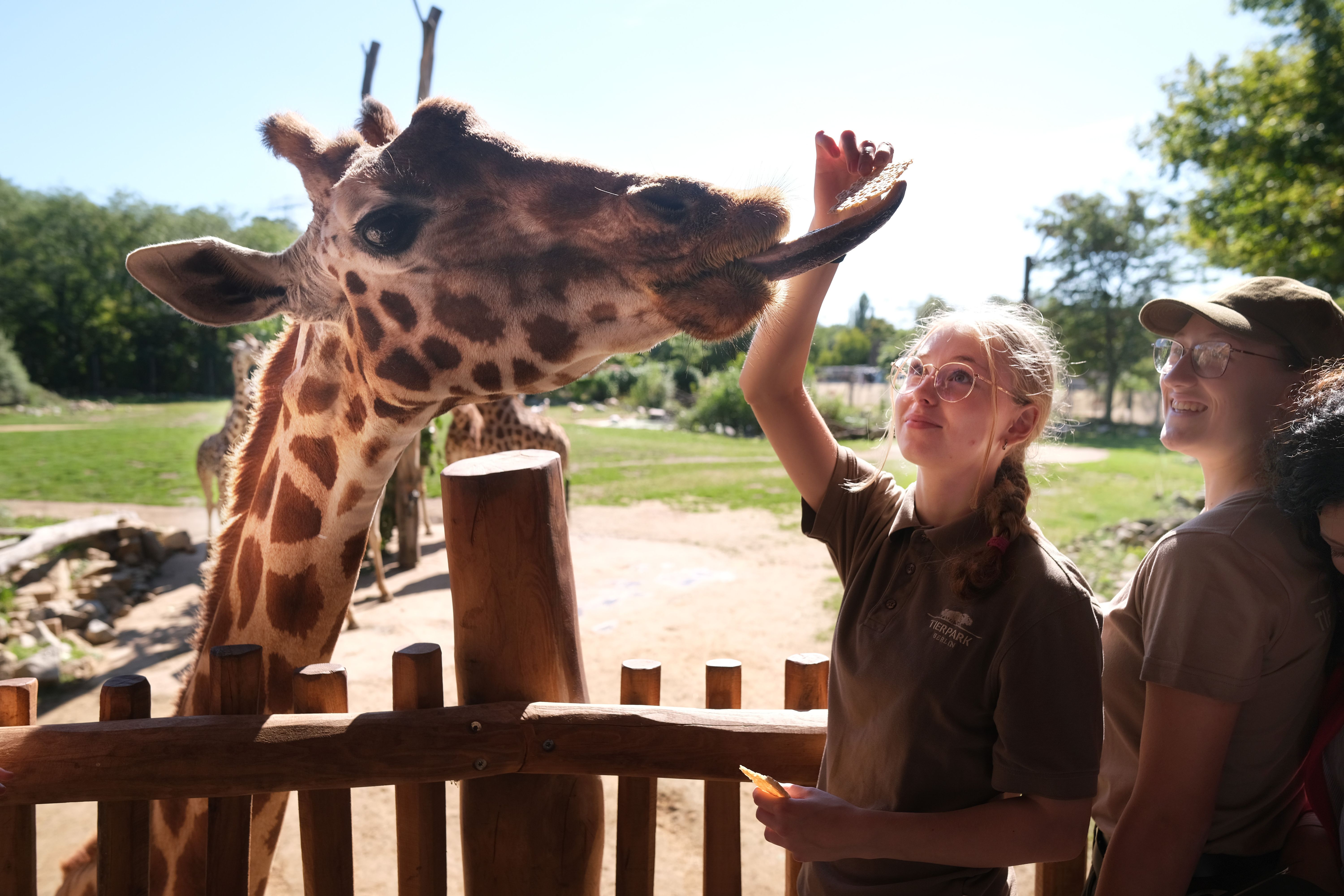 Image - Knochenjob für die Tierliebe: Amy startet im Tierpark ins Azubi-Abenteuer