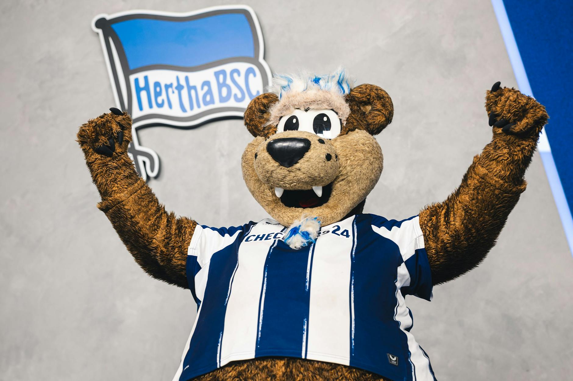 Herthinho glaubt fest an den Bundesliga-Aufstieg und will im Mai 2026 auf den Knien jubeln.