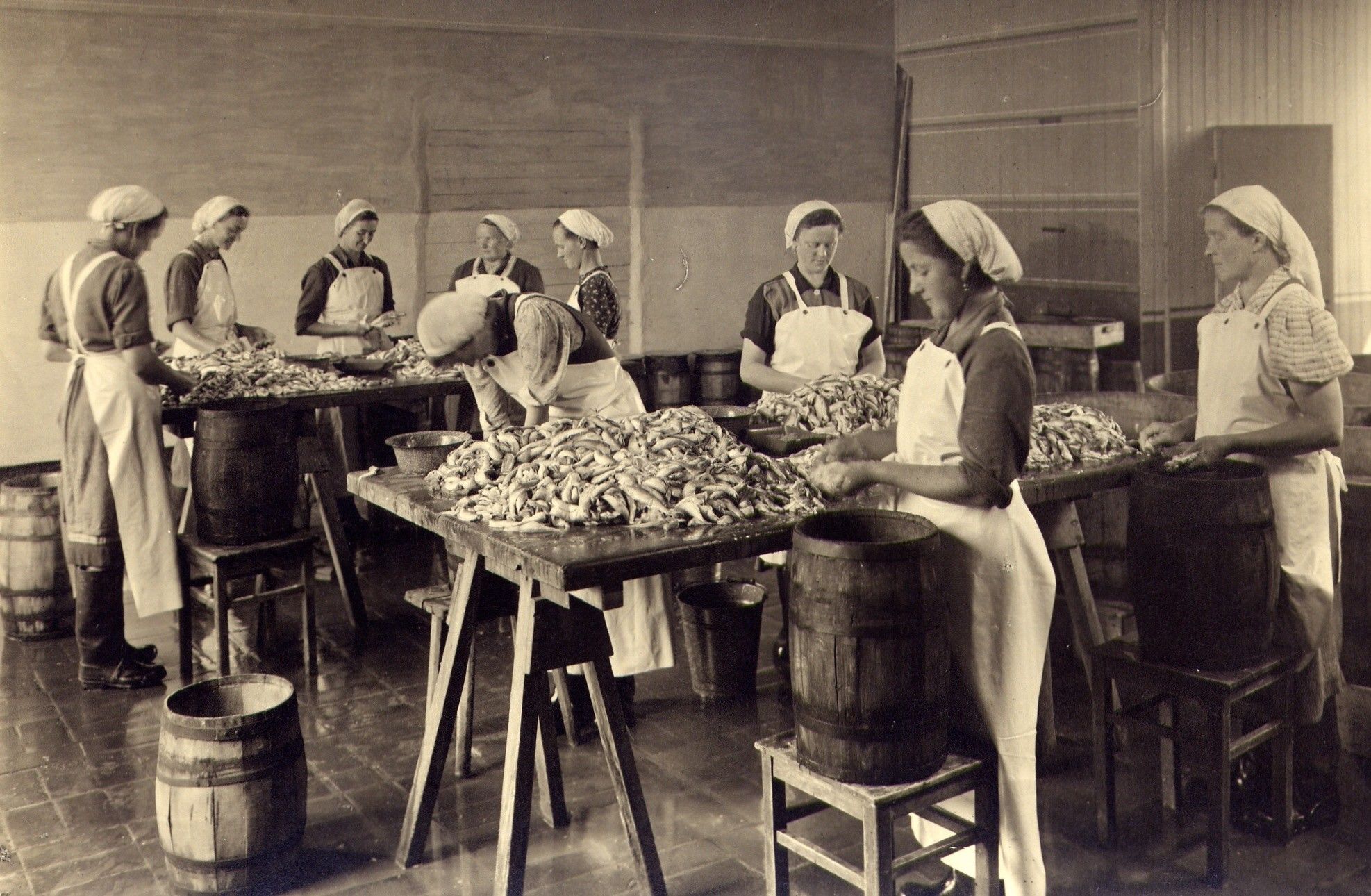 Die Fischerfrauen von Sassnitz: „Dem Ostbeauftragten hätten sie was erzählt“