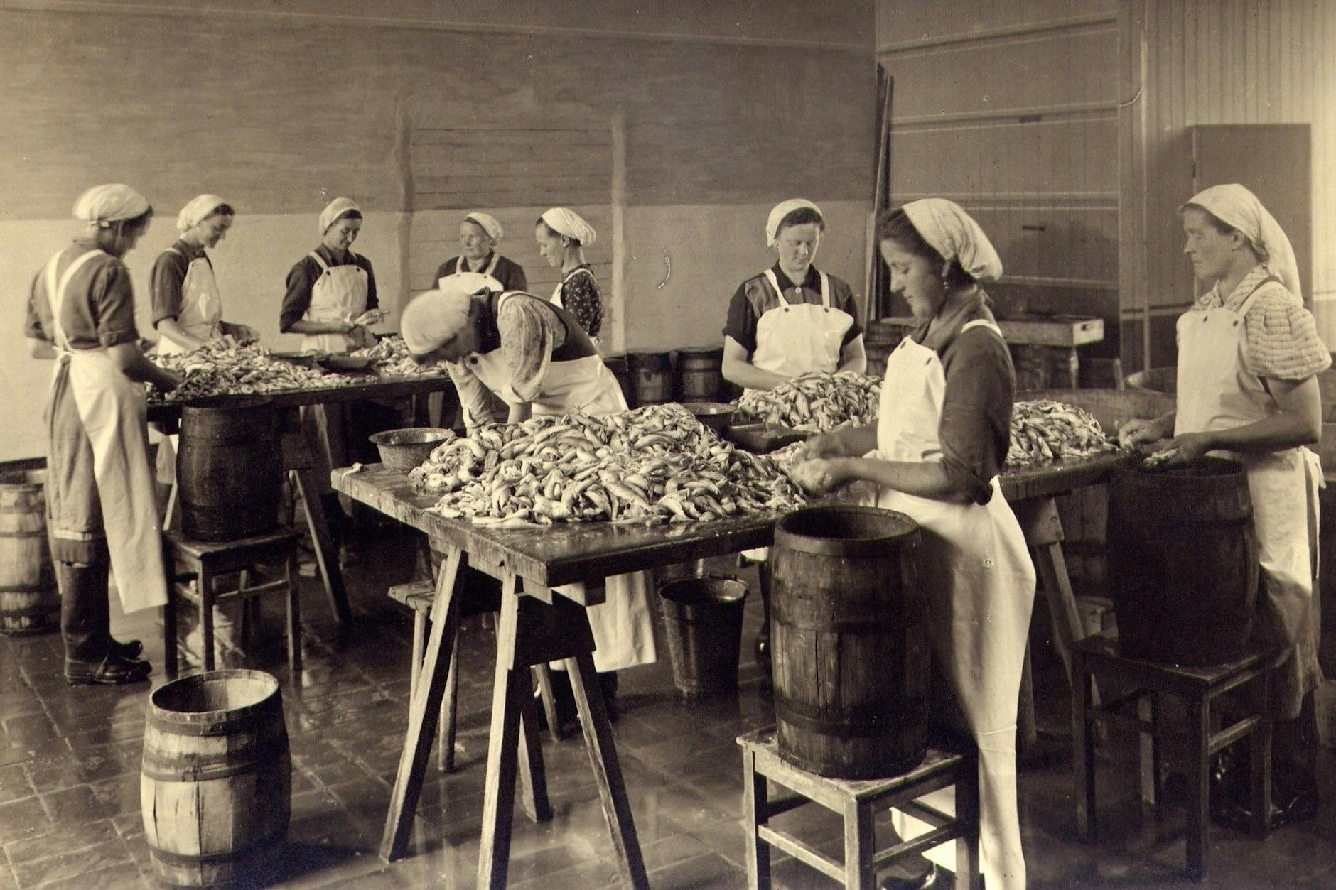 VEB Fischkombinat Sassnitz, Konservierung, 50er Jahre