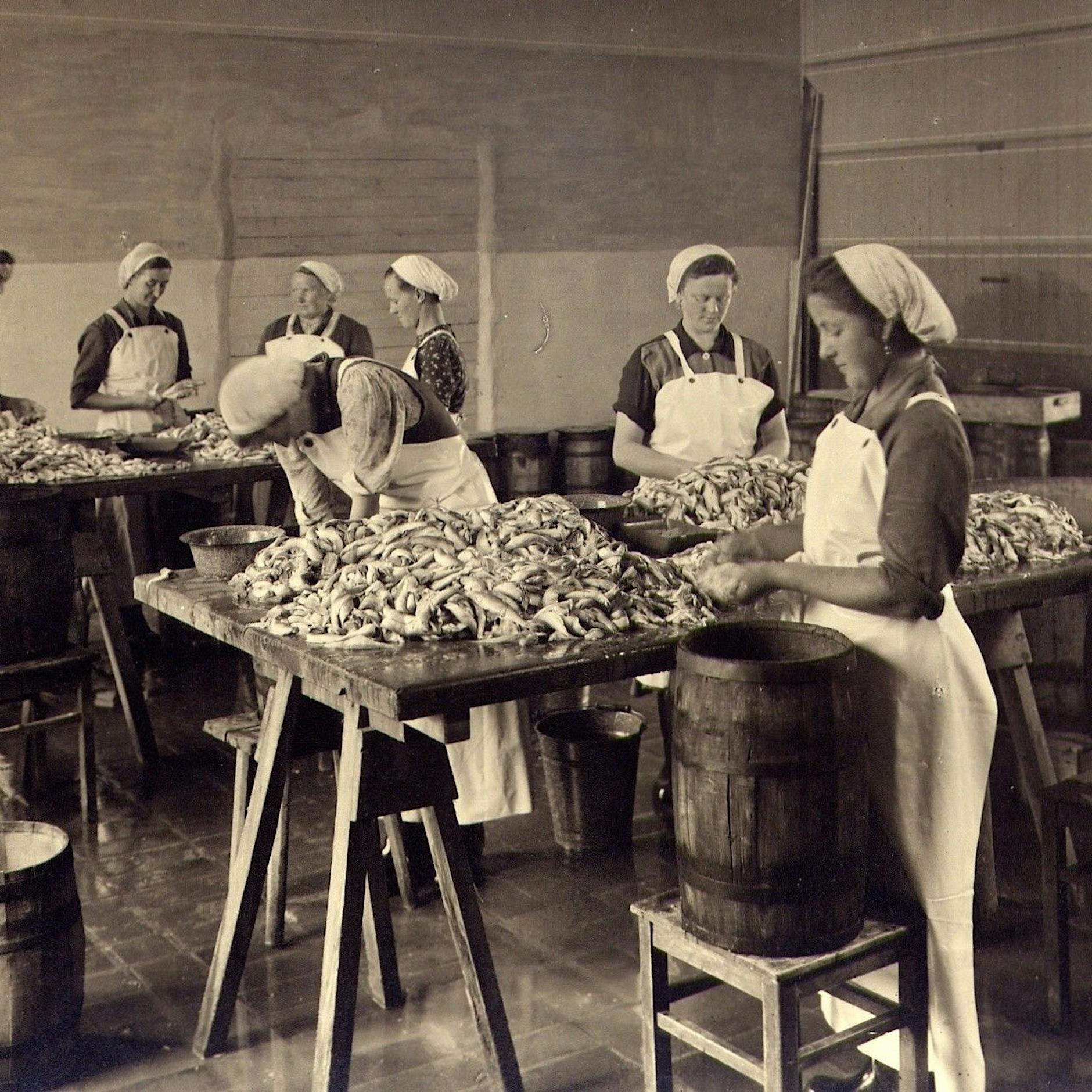 Die Fischerfrauen von Sassnitz: „Dem Ostbeauftragten hätten sie was erzählt“