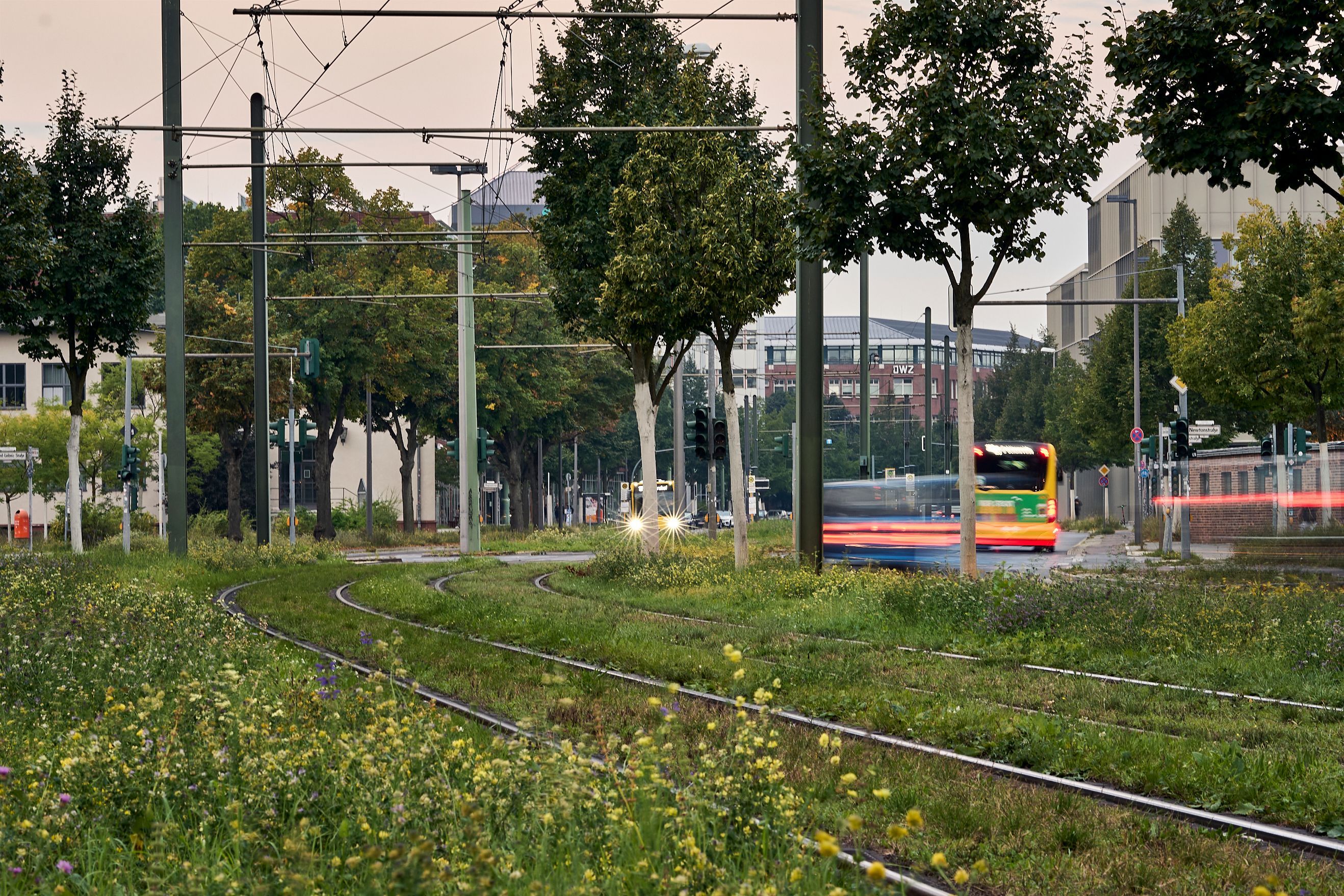 Image - Nach erneuter Störung: Wann Anwohner wieder mit Strom rechnen können