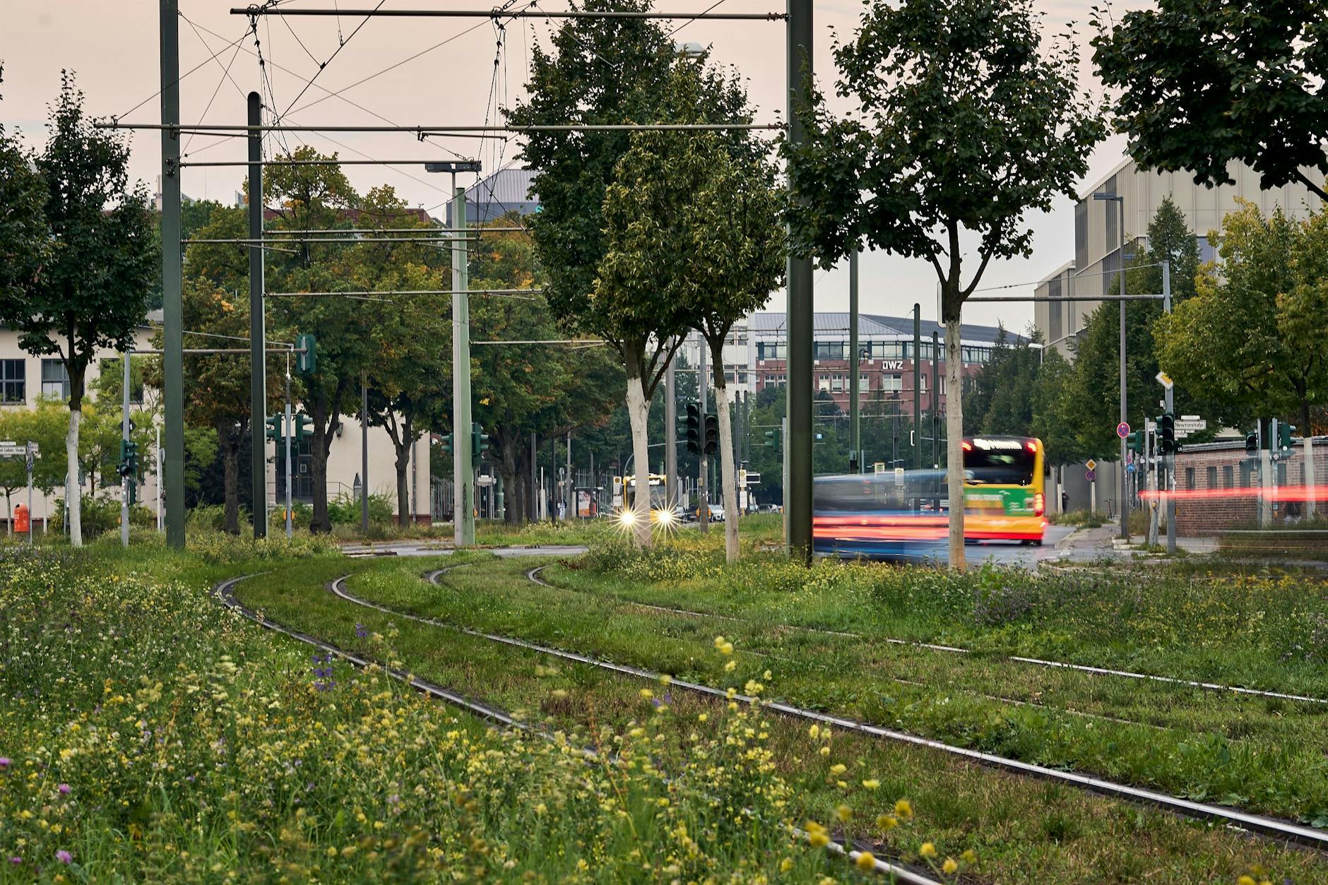 Die Rudower Chaussee in Treptow-Köpenick: Durch einen Stromausfall fielen Ampeln und Straßenlaternen aus.