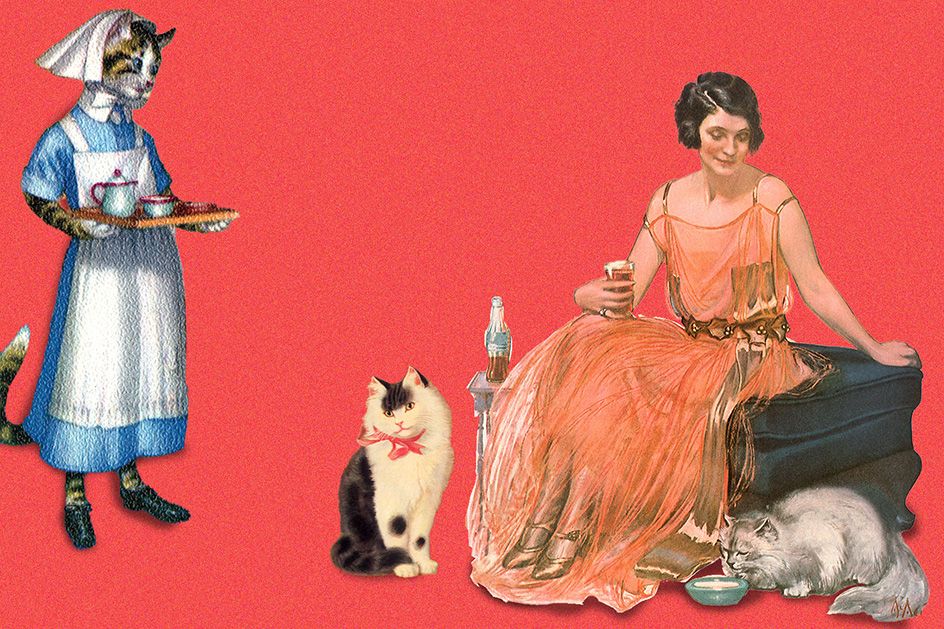 Gemütliche Katzencafés in Berlin: Wo geschlürft und geschmust werden kann