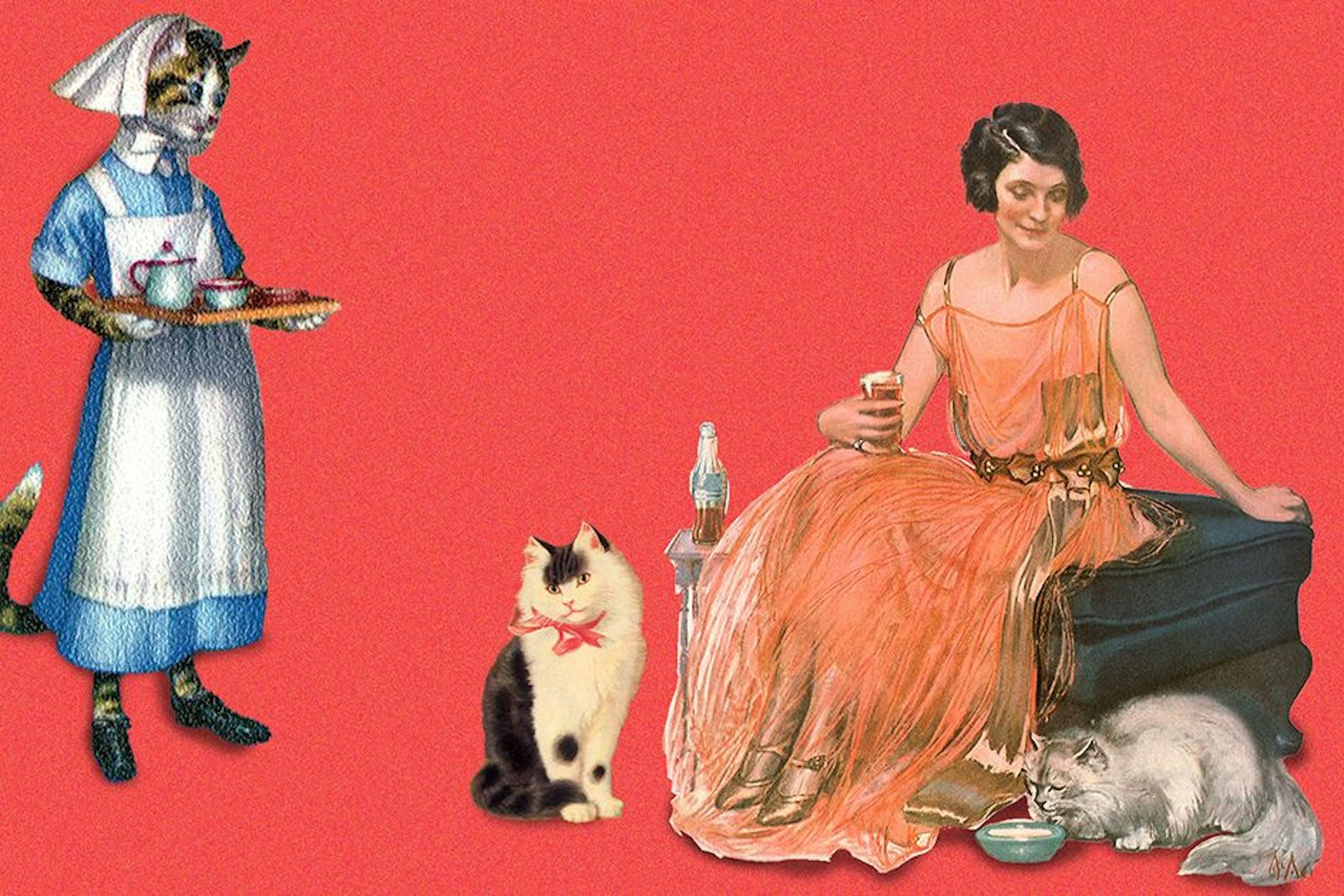 Nähe ausdrücklich erlaubt: In Katzencafés geht es kuschlig zu.