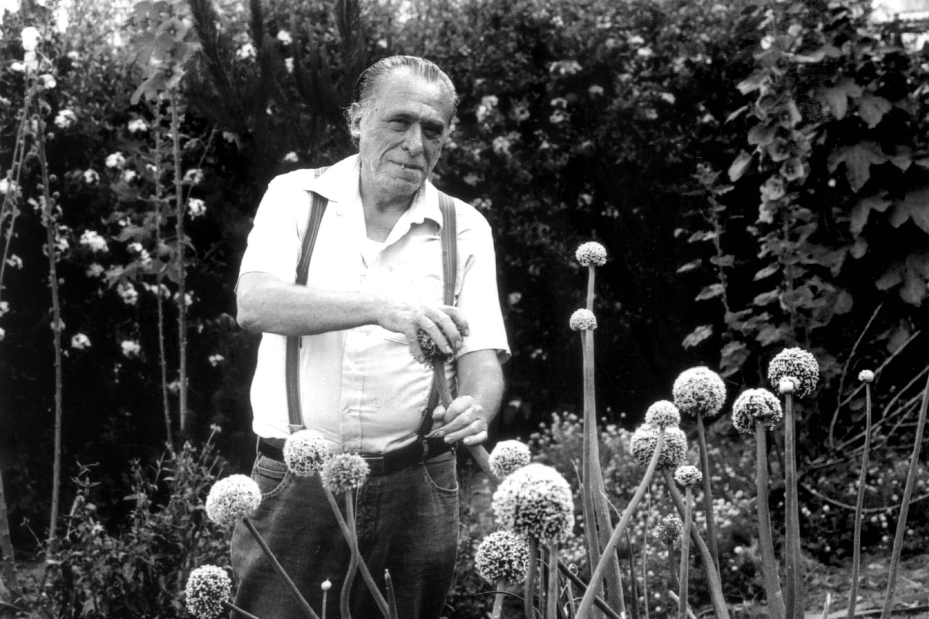 Charles Bukowski war auch in der DDR kein Unbekannter, aber offziell kam er nur sehr selten vor, unter anderm in dem Defa-Film „Die Entfernung zwischen dir und mir und ihr“