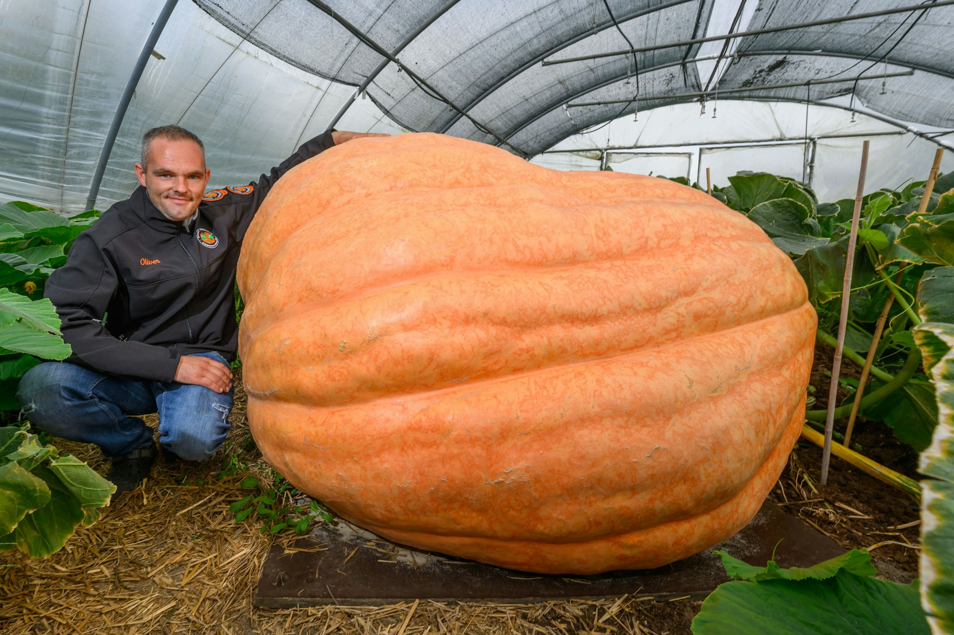Oliver Grafe aus Großthiemig hockt neben seinem etwa 876 Kilogramm schweren Kürbis der Sorte Atlantic Giant.