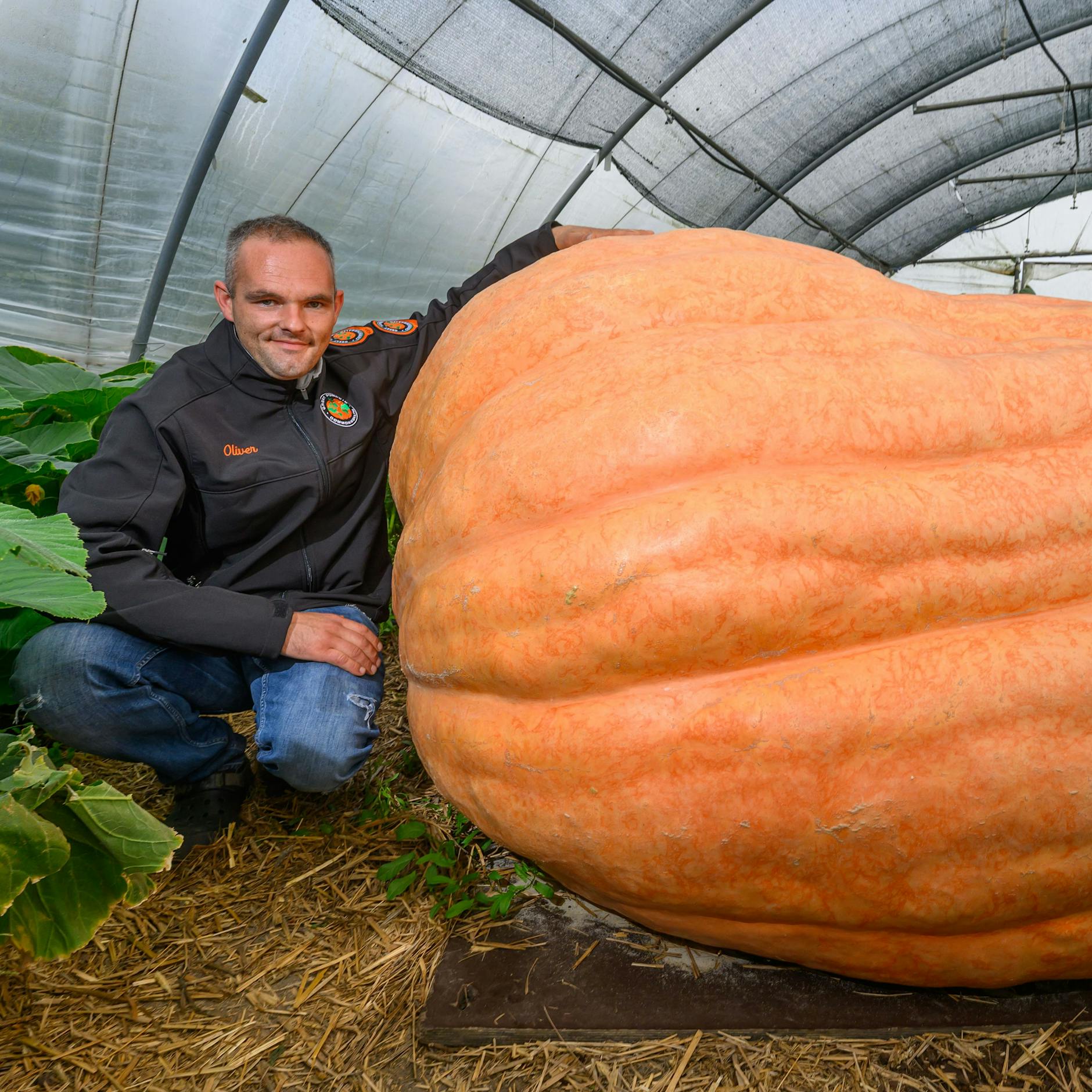 Kürbis-Meister Oliver Grafe: Seine Jagd nach dem 1000-Kilogramm-Koloss