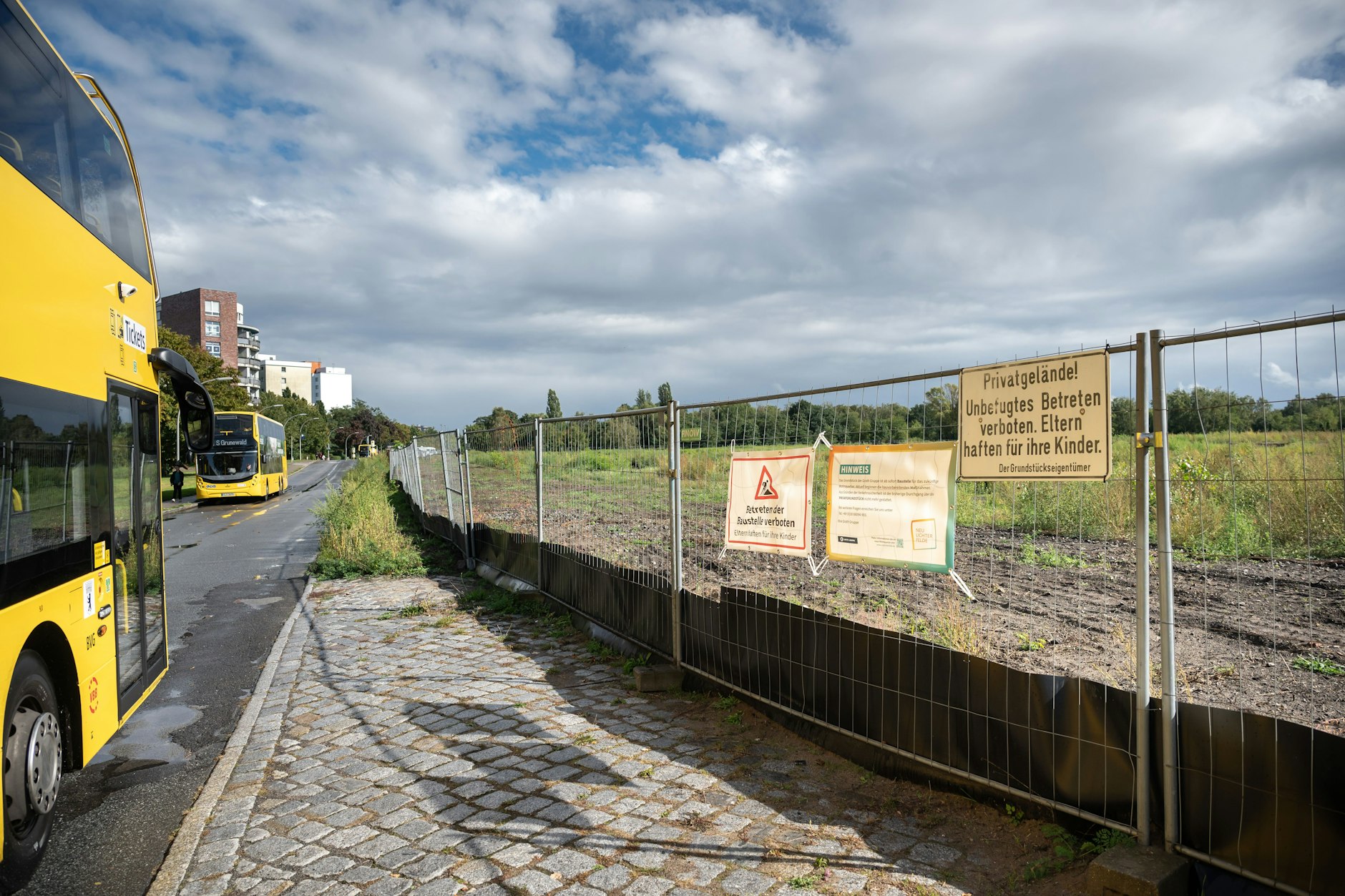 Das Gelände des Verdrusses: Auf dem Baugrundstück lebt ein Ameisenvolk.