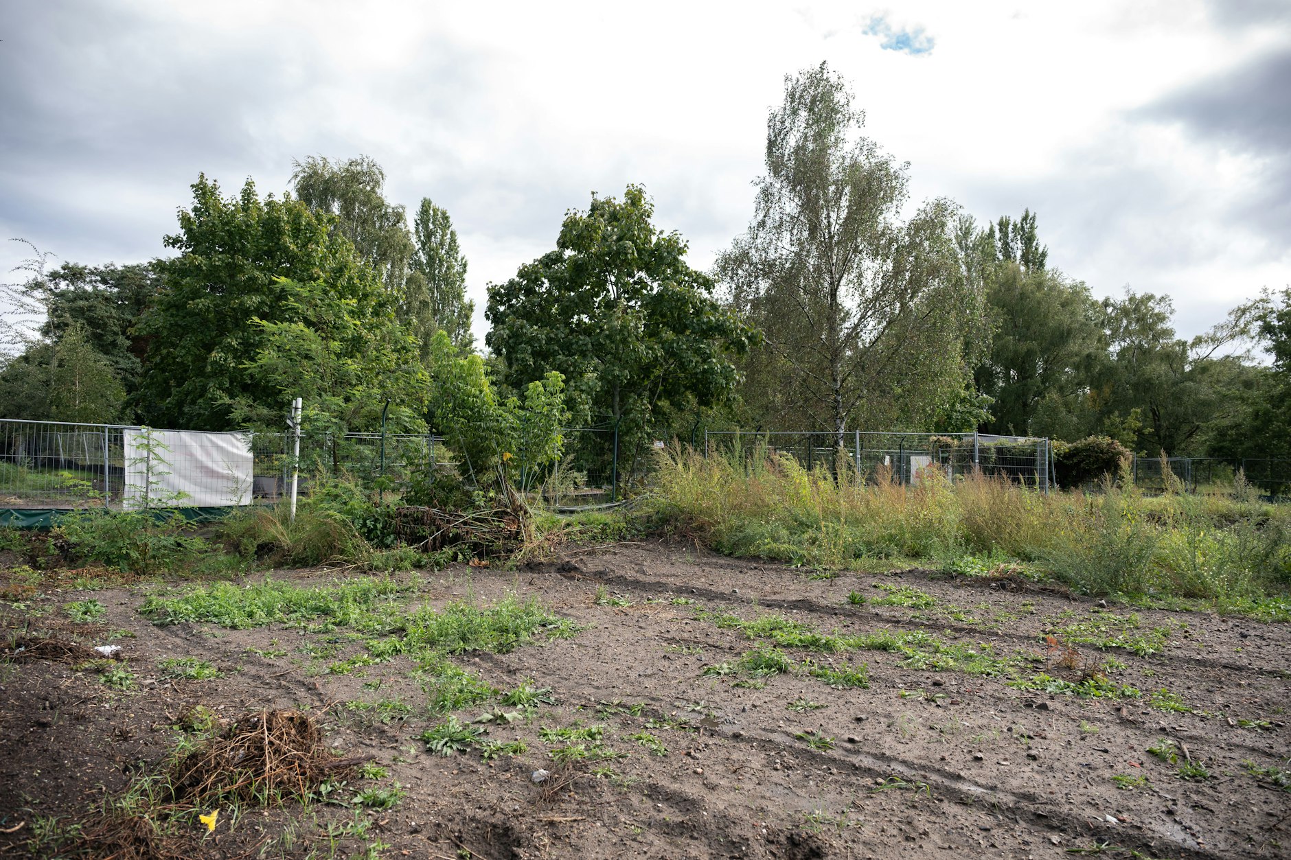 Hier bauen erst mal nur die Ameisen weiter! Auf einem Baufeld in Lichterfelde Süd wurde eine seltene Art der Krabbeltiere gefunden, was hier zu einem Baustopp neuer Wohnungen führte.