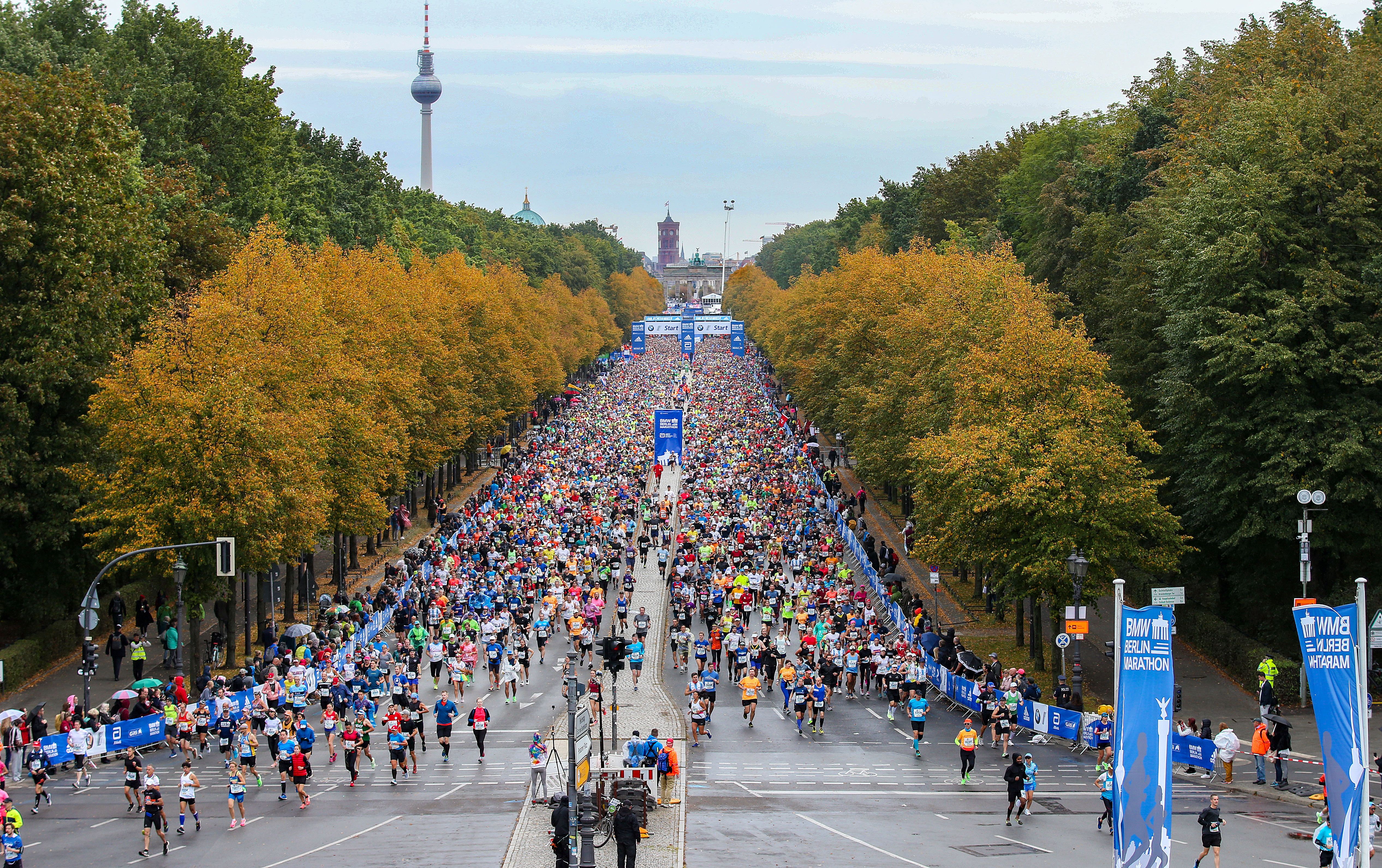 Image - Berlin-Marathon 2025: Erste Straßen gesperrt – das müssen Autofahrer wissen