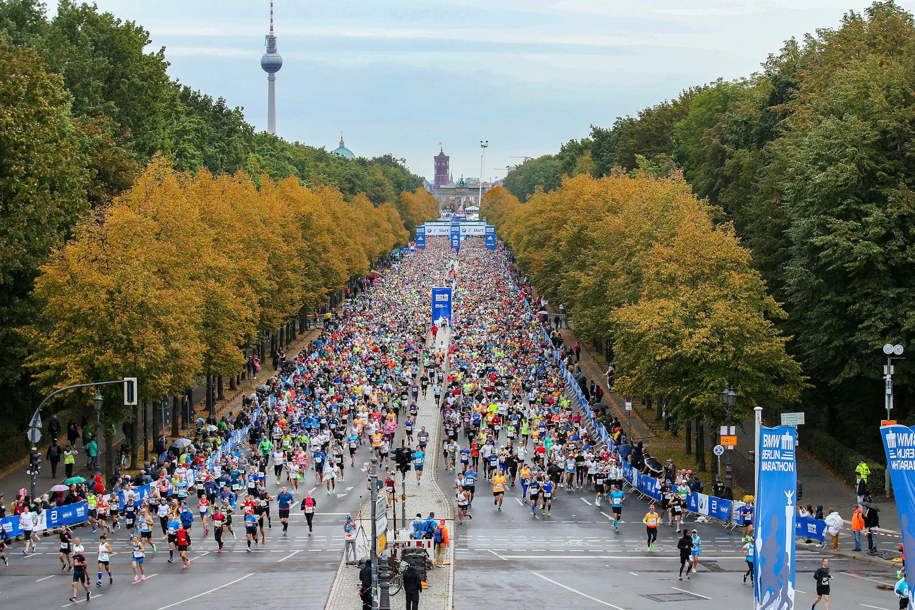 Der Berlin-Marathon startet am Sonntag.
