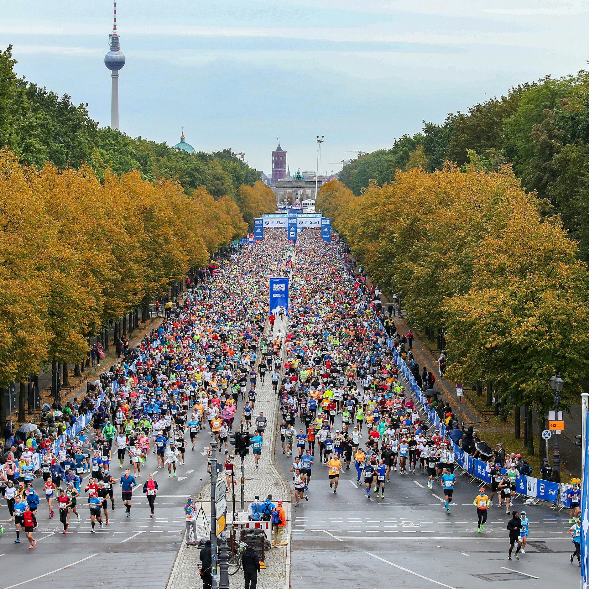 Image - Berlin-Marathon 2025: Erste Straßen gesperrt – das müssen Autofahrer wissen