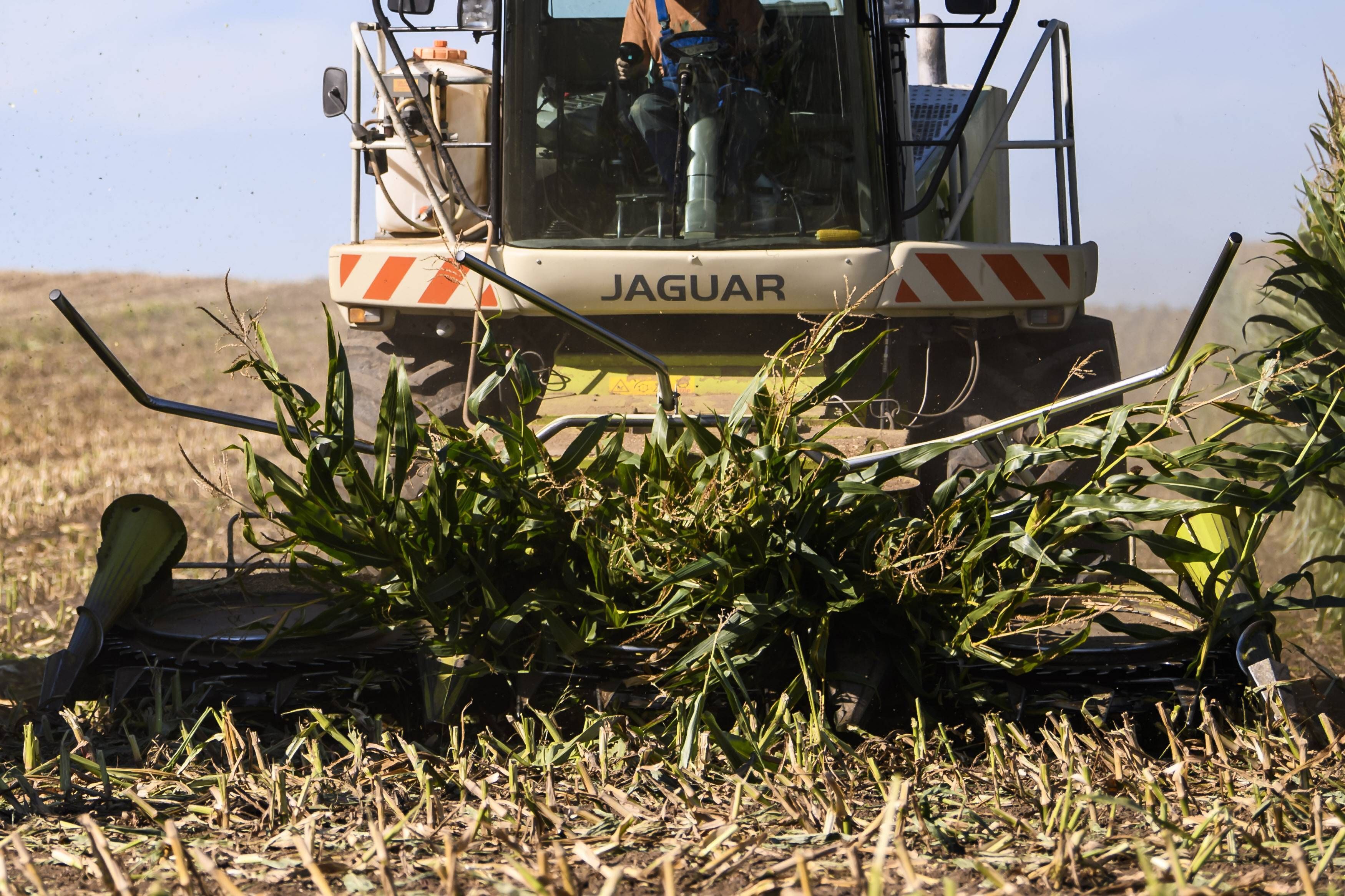 Drama bei der Ernte: Mann (85) gerät in Maishäcksler – tot!