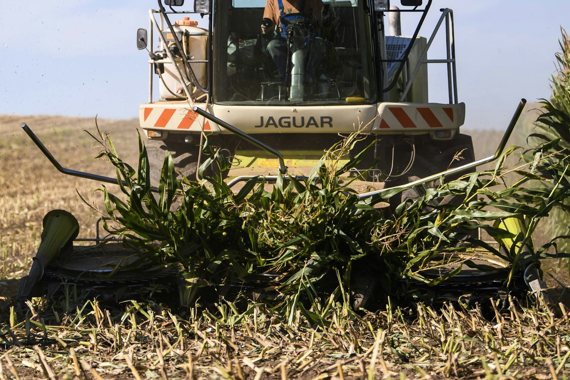 Der Mann war unter den Maishäcksler geraten.