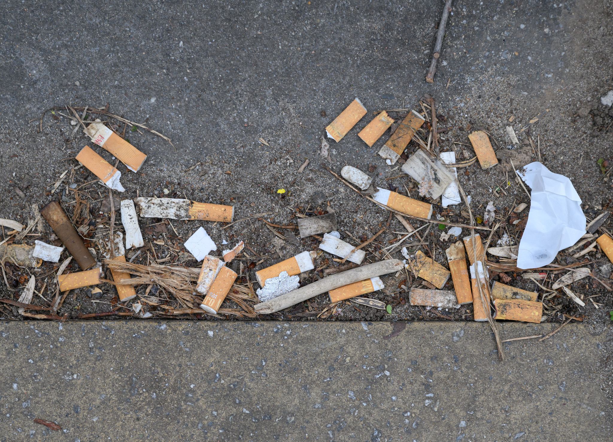 Kippen-Kontrolle: Ab heute schwärmen Mitarbeiter der Berliner Ordnungsämter aus