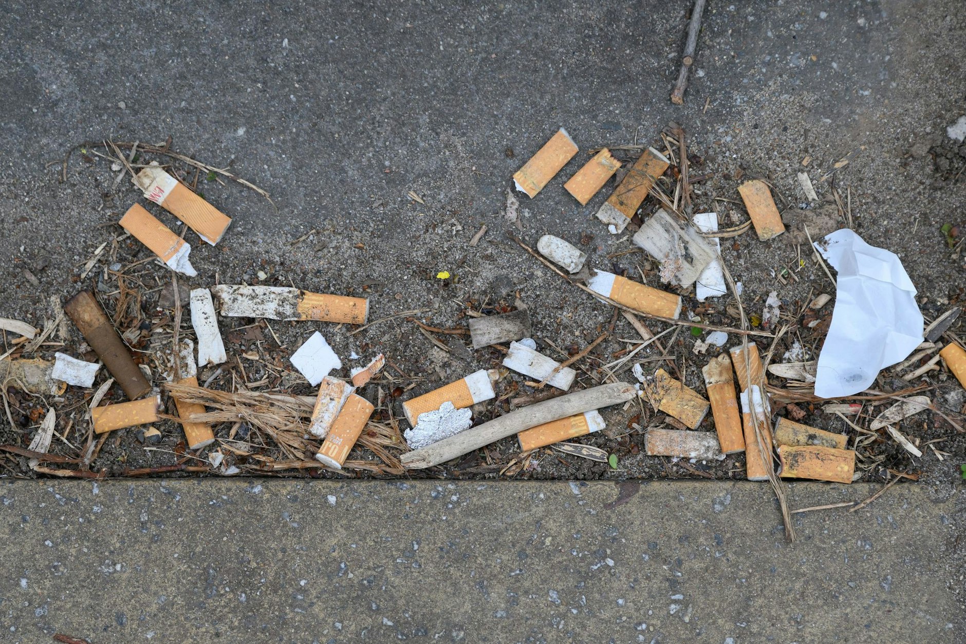 Hier gehören Kippen nicht hin: Ab heute sind in Berlin Beschäftigte der Ordnungsämter in Zivil und in Uniform unterwegs, um Umweltsünder aufzuspüren.