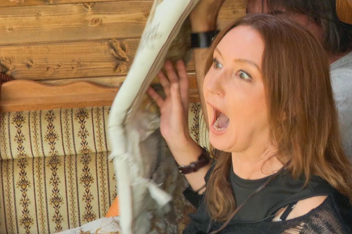 Hanka Rackwitz sorgte mit ihrem Verhalten nicht nur bei den anderen „Sommerhaus der Stars“-Kandidaten für Irritation, sondern auch bei den Zuschauern.