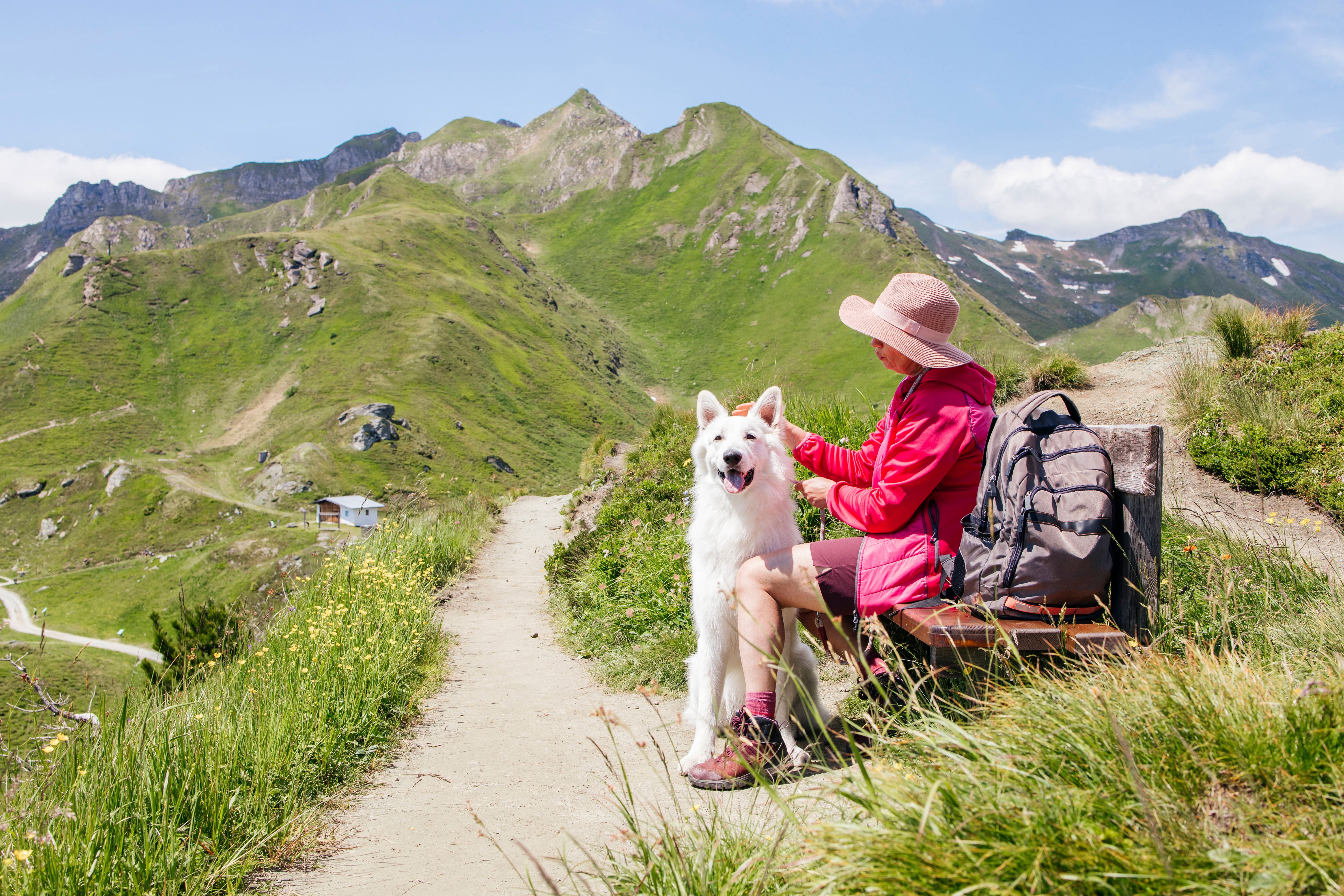 Kur-Taxe für Hunde: Urlaub mit Bello in Südtirol wird teurer