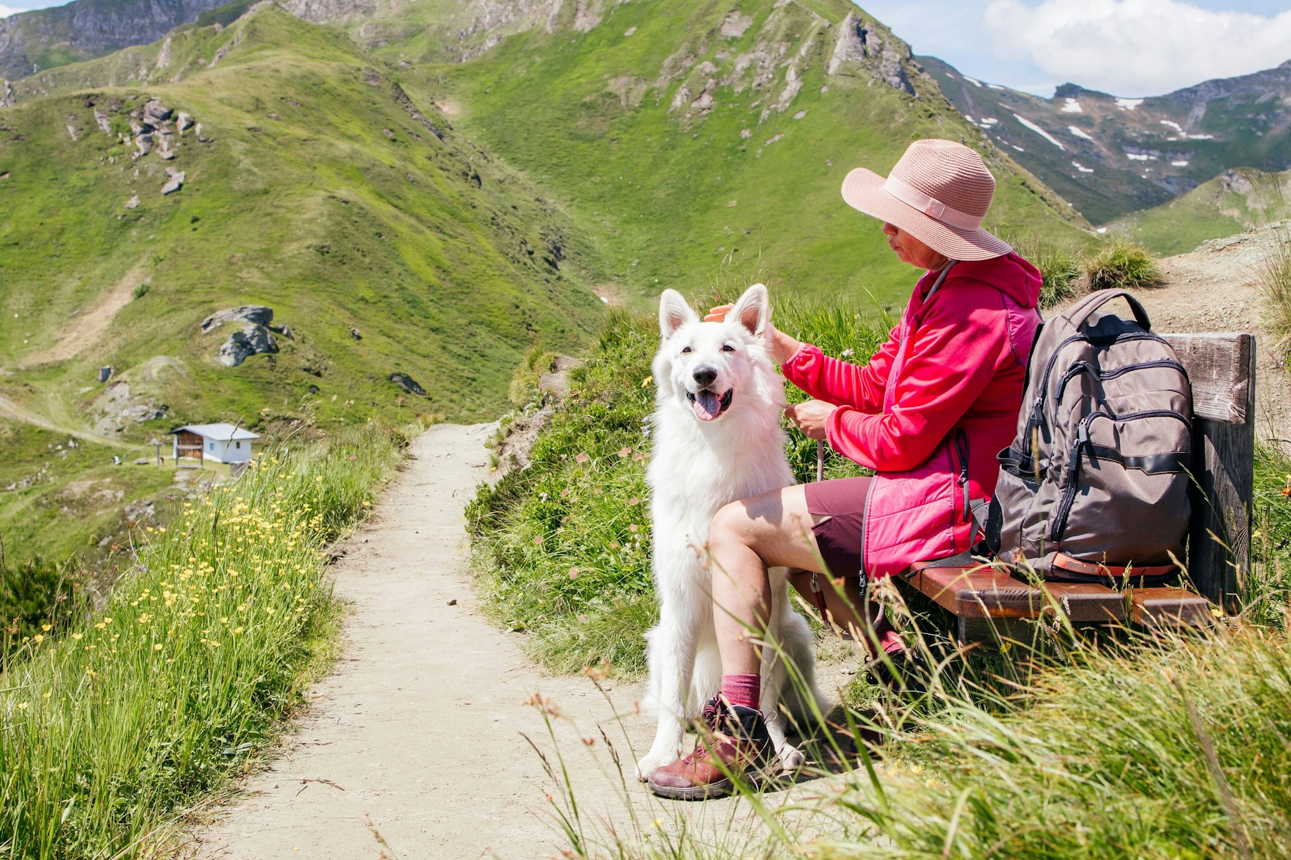 Wer in Südtirol mit Hund Urlaub machen will, wird künftig für den Vierbeiner Taxe zahlen müssen.