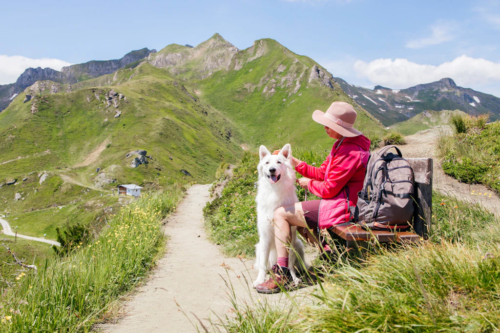 Kur-Taxe für Hunde: Urlaub mit Bello in Südtirol wird teurer
